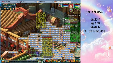 接命魂之玉 人环 宠环