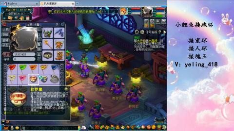 接命魂之玉 人环 宠环