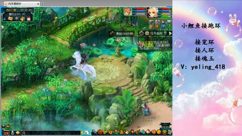 接命魂之玉 人环 宠环