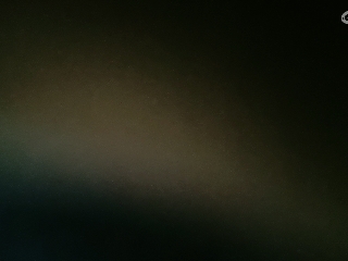 美貌与智慧并存，颜值与才华齐飞