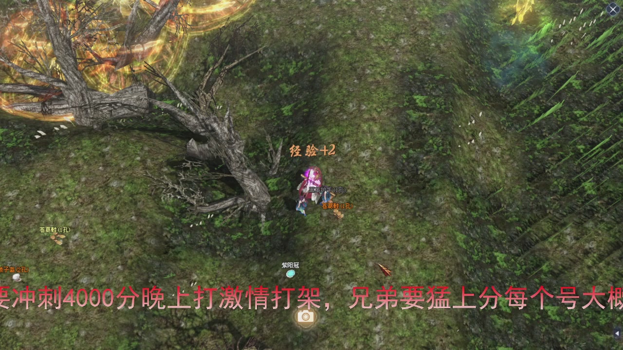 兄弟们早点干趴下，早点激情加油！