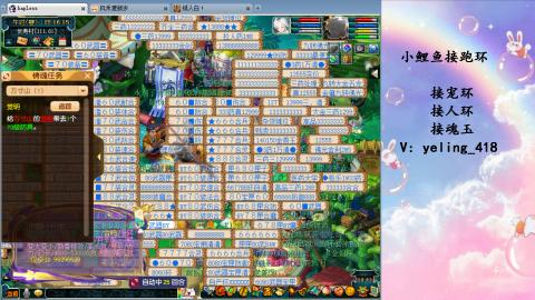 接命魂之玉 人环 宠环