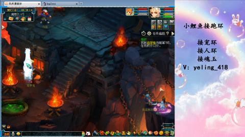 接命魂之玉 人环 宠环