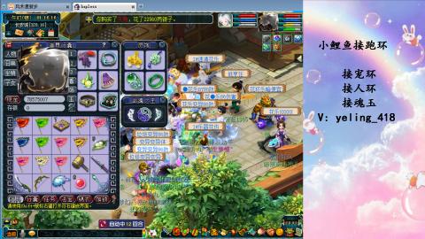 接命魂之玉 人环 宠环