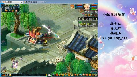 接命魂之玉 人环 宠环