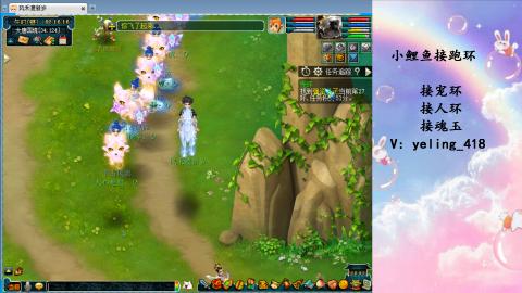 接命魂之玉 人环 宠环