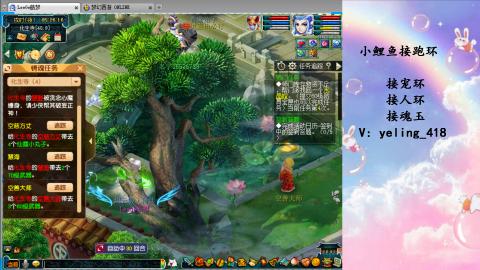 接命魂之玉 人环 宠环