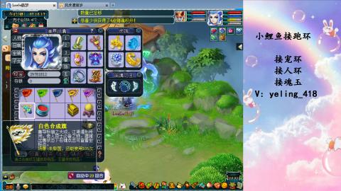 接命魂之玉 人环 宠环