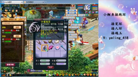 接命魂之玉 人环 宠环