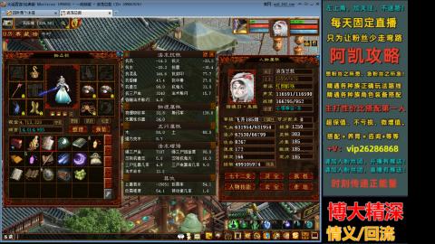 阿凯搭配装备中