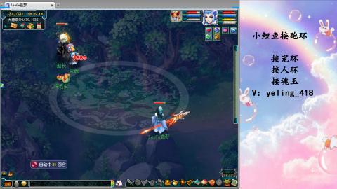 接命魂之玉 人环 宠环