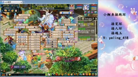 接命魂之玉 人环 宠环