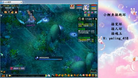 接命魂之玉 人环 宠环