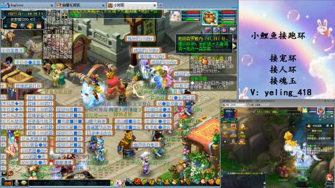 接命魂之玉 人环 宠环