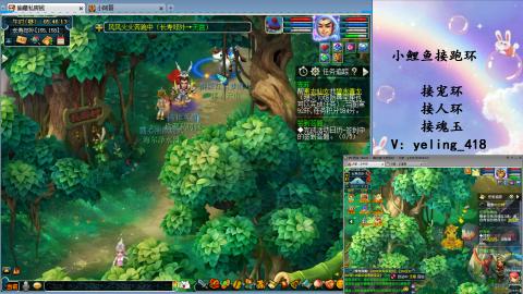 接命魂之玉 人环 宠环