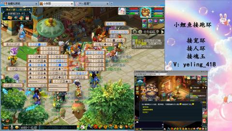 接命魂之玉 人环 宠环