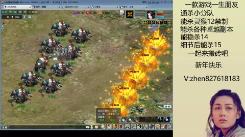 无属性双盘小分队