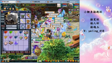 接命魂之玉 人环 宠环