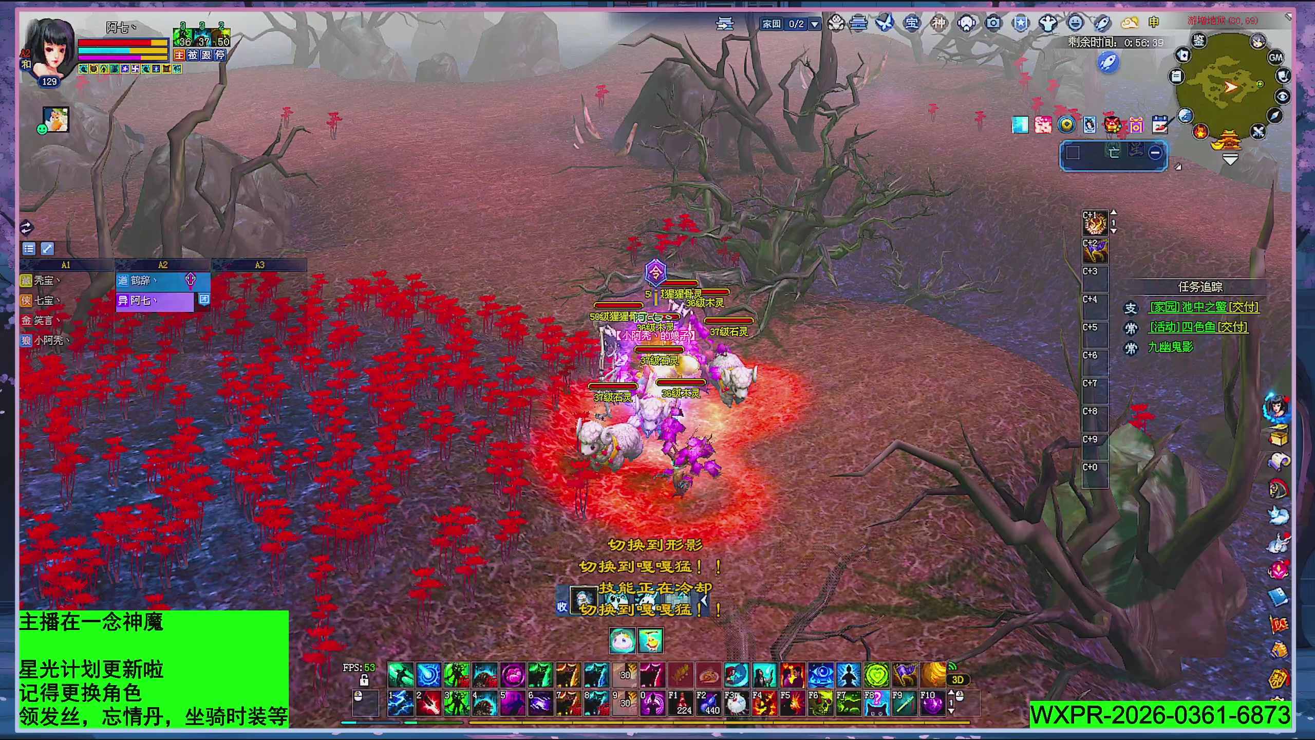 星光更新了快来绑！