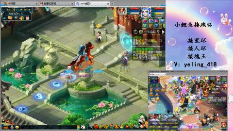 接命魂之玉 人环 宠环