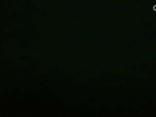 江湖✌️的直播间