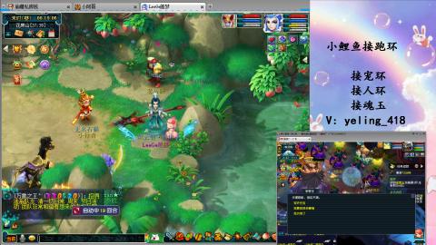 接命魂之玉 人环 宠环