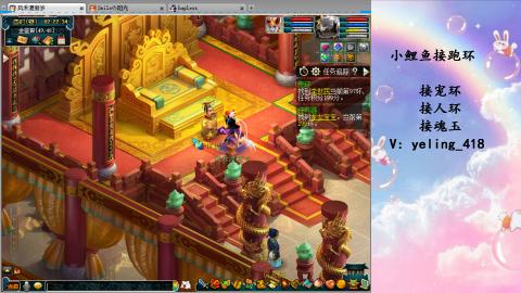 接命魂之玉 人环 宠环