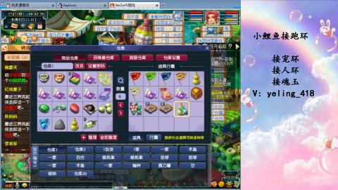 接命魂之玉 人环 宠环