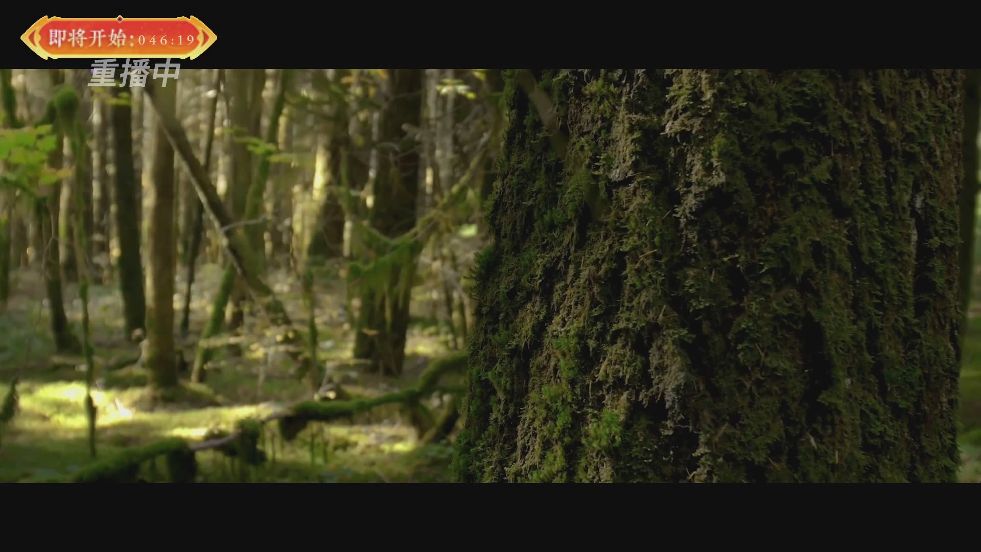 【重播】畅玩服新春巅峰赛-决赛