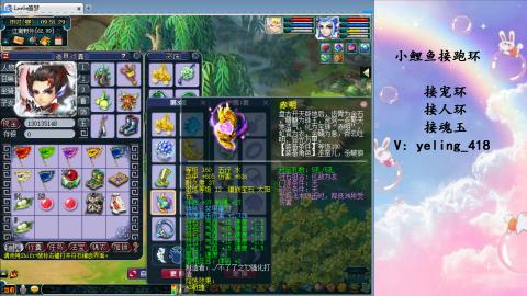 接命魂之玉 人环 宠环