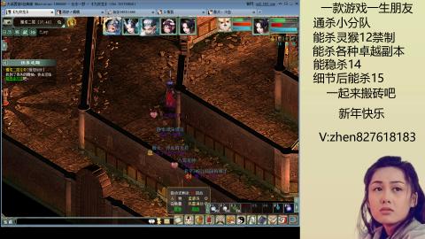 无属性双盘小分队