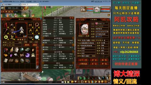 阿凯搭配装备中