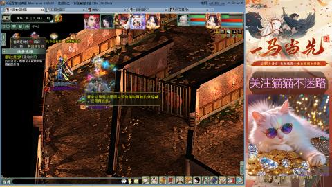 欢迎来到我的直播间