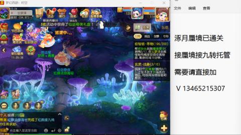 接九转蜃境托管~