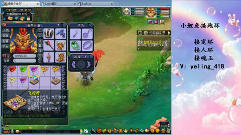 接命魂之玉 人环 宠环