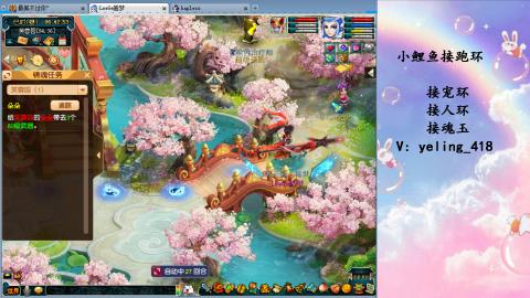 接命魂之玉 人环 宠环