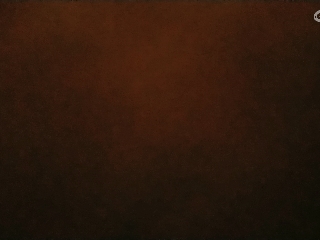 始于声音 忠于才艺