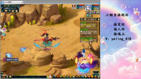 接命魂之玉 人环 宠环