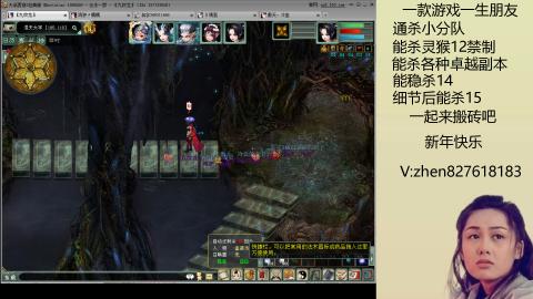 无属性双盘小分队