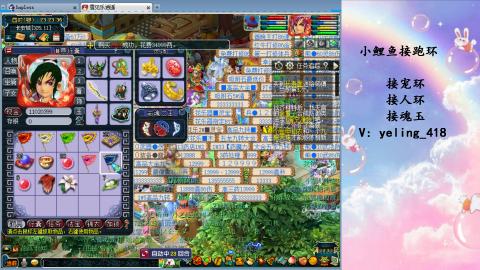 接命魂之玉 人环 宠环