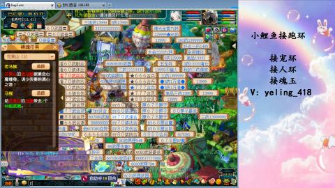 接命魂之玉 人环 宠环