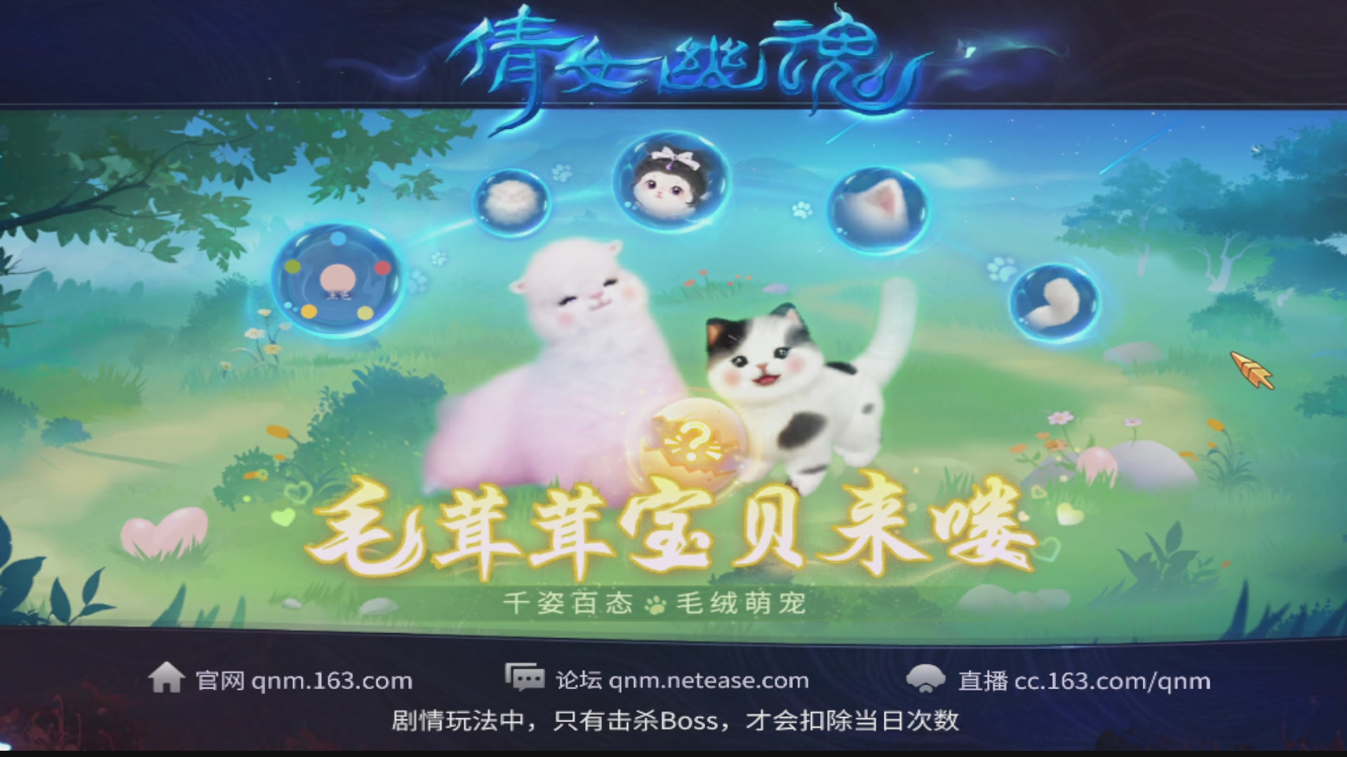 过年不休息，接各种全托日托周托