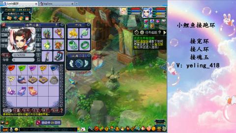 接命魂之玉 人环 宠环