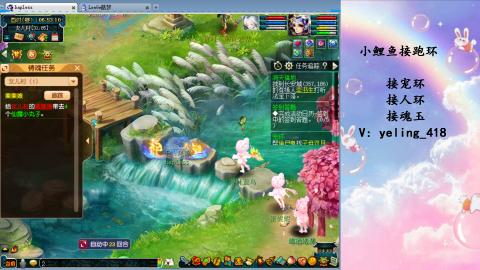 接命魂之玉 人环 宠环