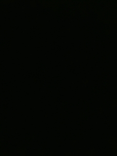 美貌与智慧并存，颜值与才华齐飞