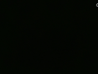 美貌与智慧并存，颜值与才华齐飞