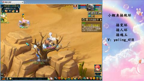 接命魂之玉 人环 宠环