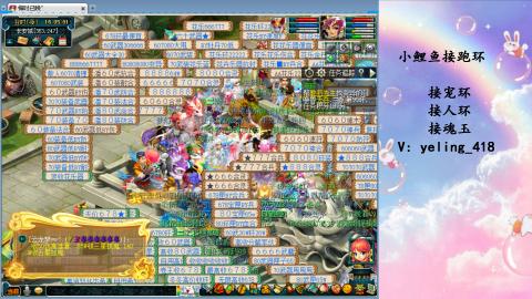 接命魂之玉 人环 宠环