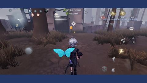 我愿化作人间的风雨陪着守护我的人