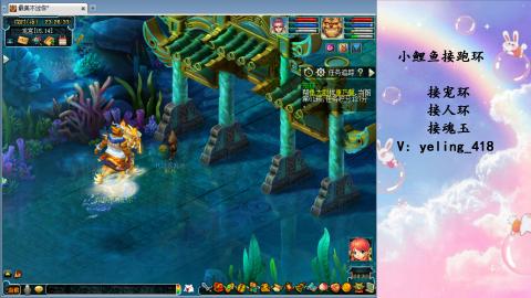 接命魂之玉 人环 宠环